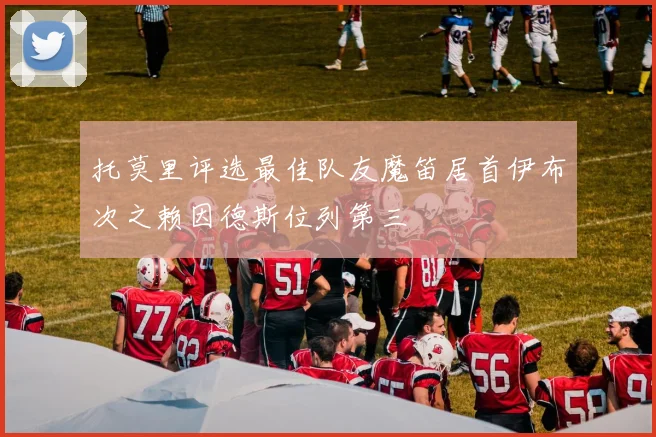 托莫里评选最佳队友魔笛居首伊布次之赖因德斯位列第三
